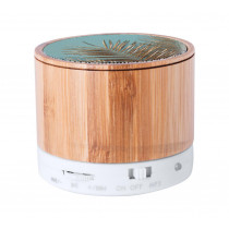 Głośnik bluetooth