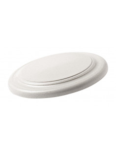 Frisbee