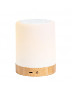 Głośnik bluetooth 2