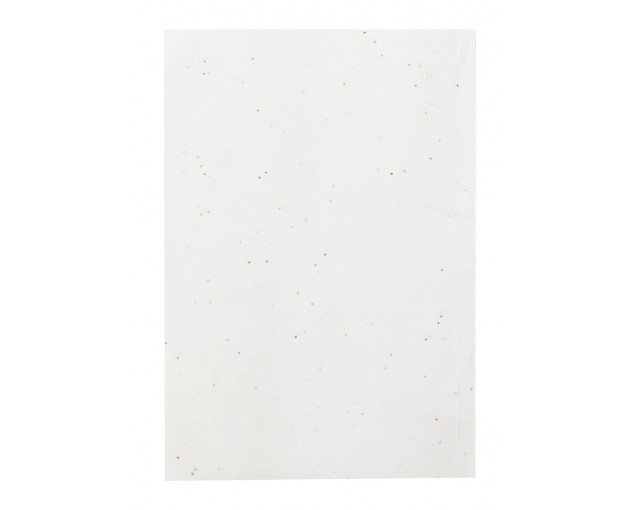 Notes z papieru nasiennego