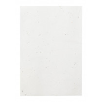 Notes z papieru nasiennego