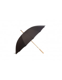 Parasol 2