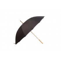 Parasol