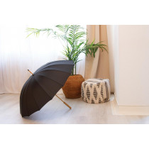 Parasol