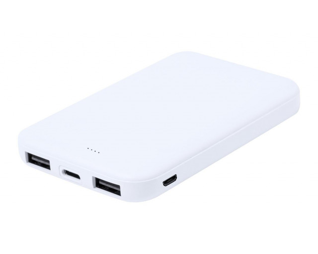 Power bank RABS