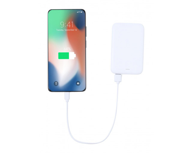 Power bank RABS