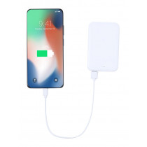 Power bank RABS