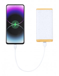 Power bank 2