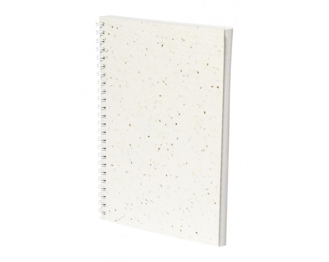 Notes z papieru nasiennego