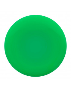 Frisbee 2