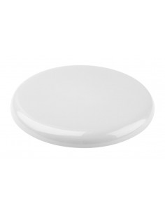 Frisbee