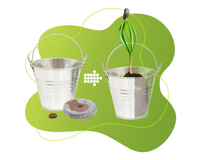 GROWBUCKET SET ZESTAW Z WIADERKIEM z logo firmy w LazyStore!